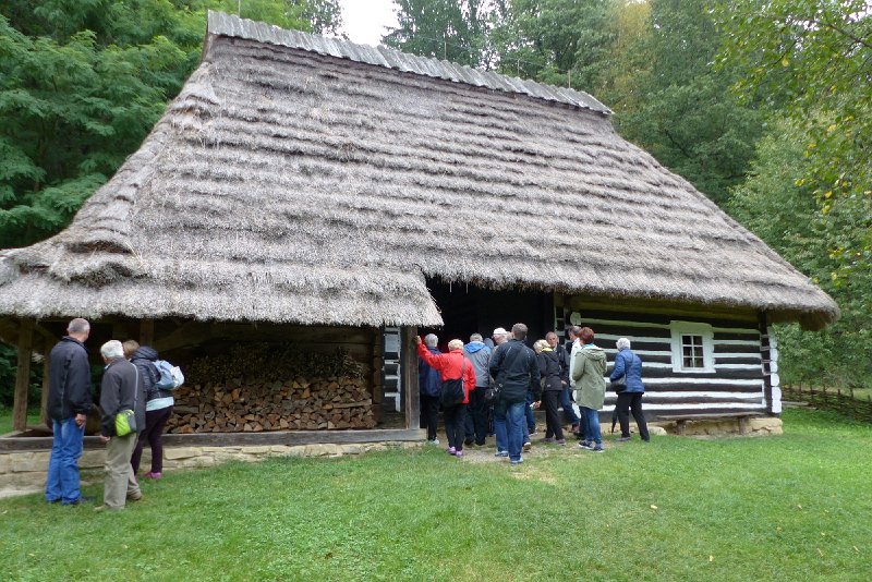 P1070166.jpg
