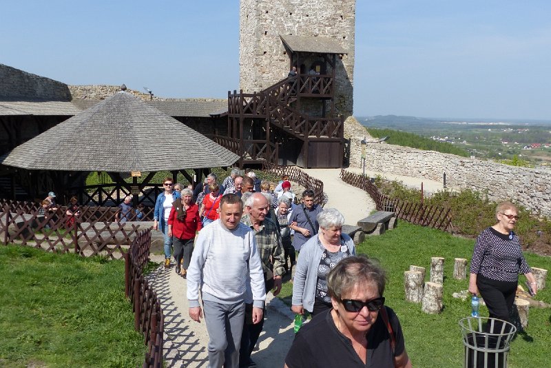 P1100630.jpg
