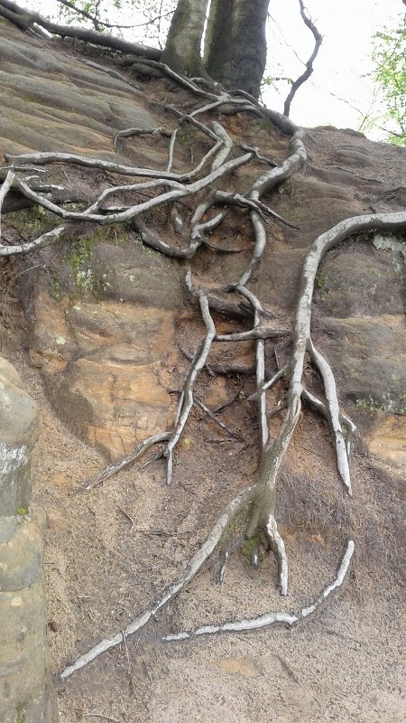 20190427_111519.jpg - User comments