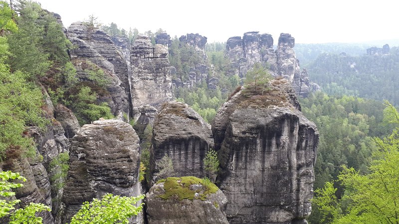 20190427_111925.jpg