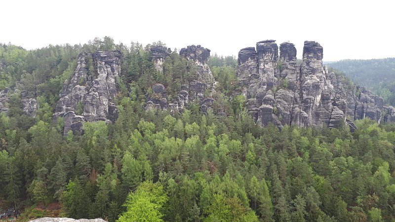 20190427_113139.jpg