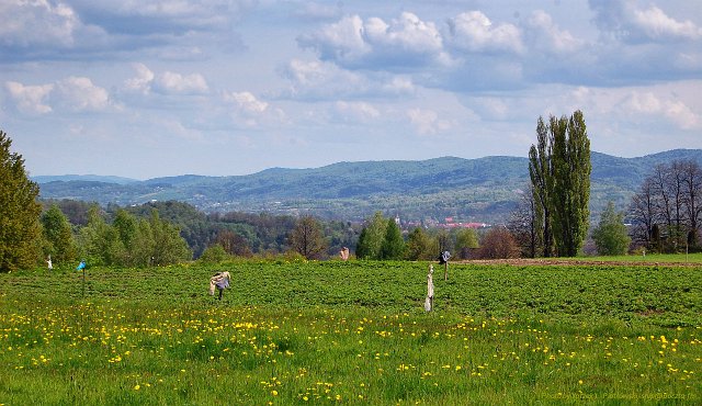 DSC_1840a1.jpg