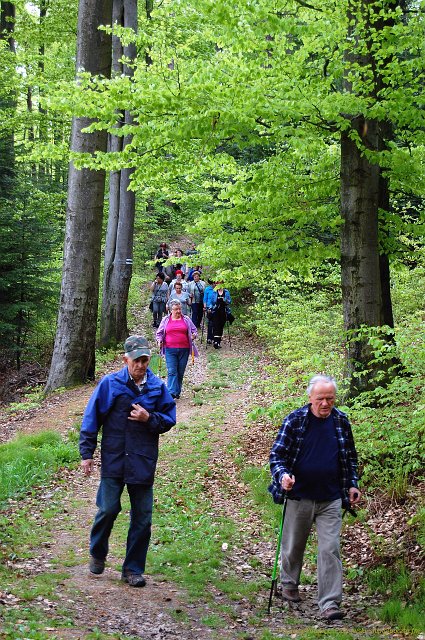 DSC_1915a1.jpg