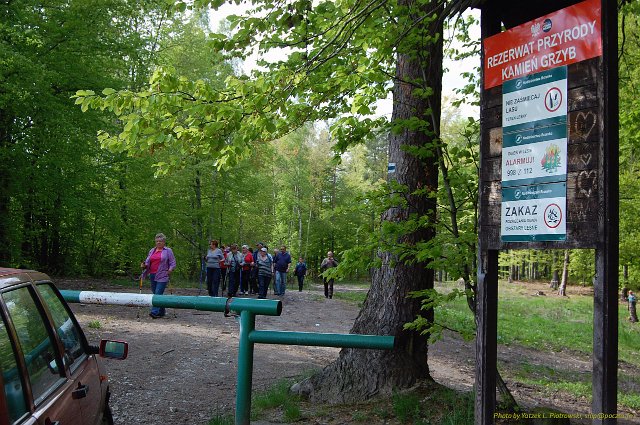 DSC_1962a1.jpg