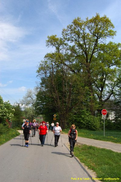 DSC_0964a1.JPG - (C) Jacek L. Piotrowski 601 07-77-09