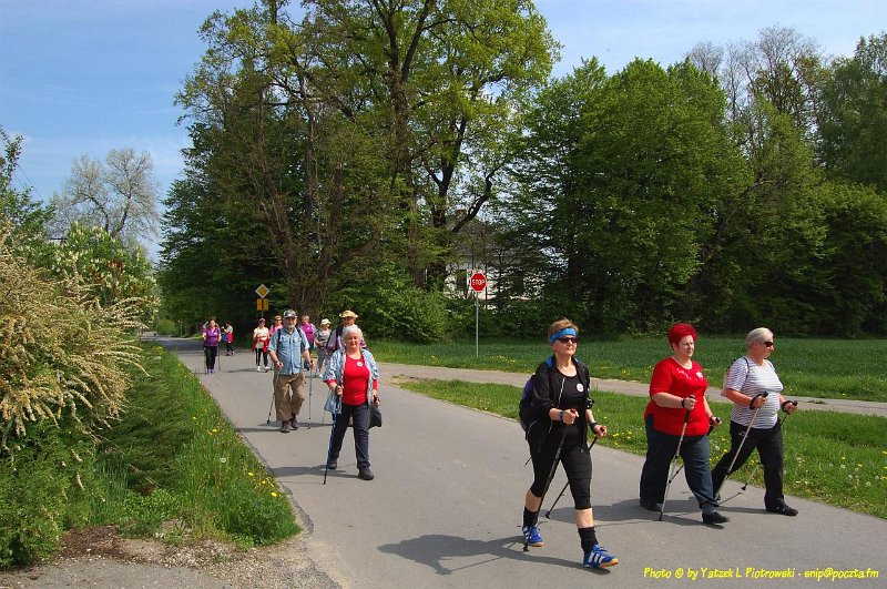 DSC_0965a1.JPG - (C) Jacek L. Piotrowski 601 07-77-09