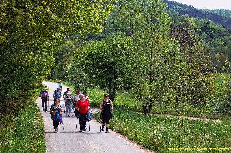 DSC_0974a1.JPG - (C) Jacek L. Piotrowski 601 07-77-09