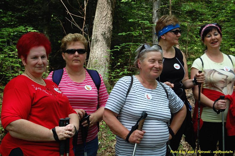 DSC_0993a1.JPG - (C) Jacek L. Piotrowski 601 07-77-09