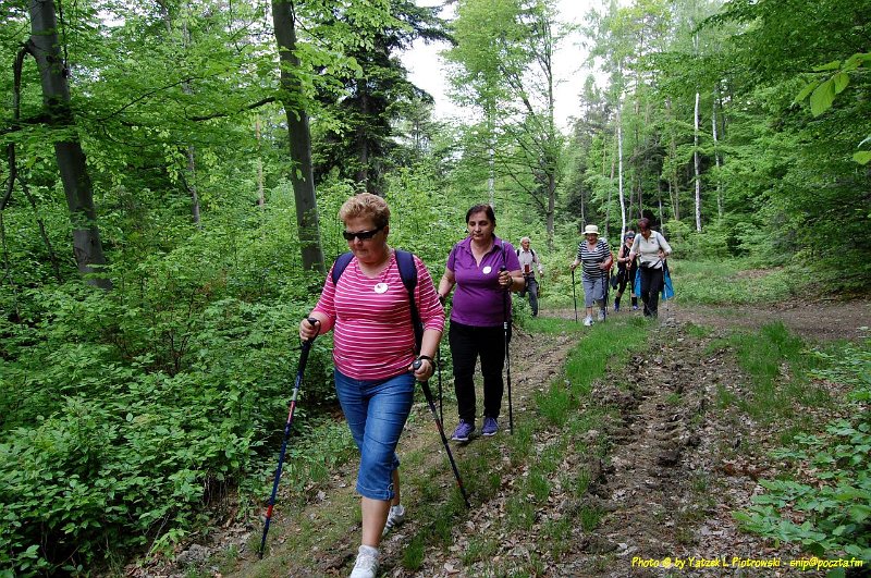 DSC_1027a1.JPG - (C) Jacek L. Piotrowski 601 07-77-09