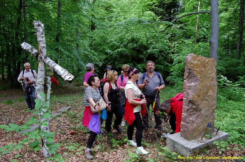 DSC_1030a1.JPG - (C) Jacek L. Piotrowski 601 07-77-09