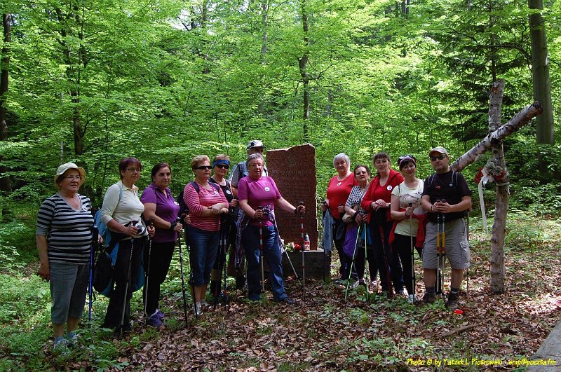 DSC_1037a1.JPG - (C) Jacek L. Piotrowski 601 07-77-09