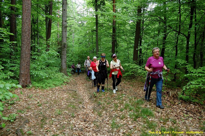 DSC_1040a1.JPG - (C) Jacek L. Piotrowski 601 07-77-09