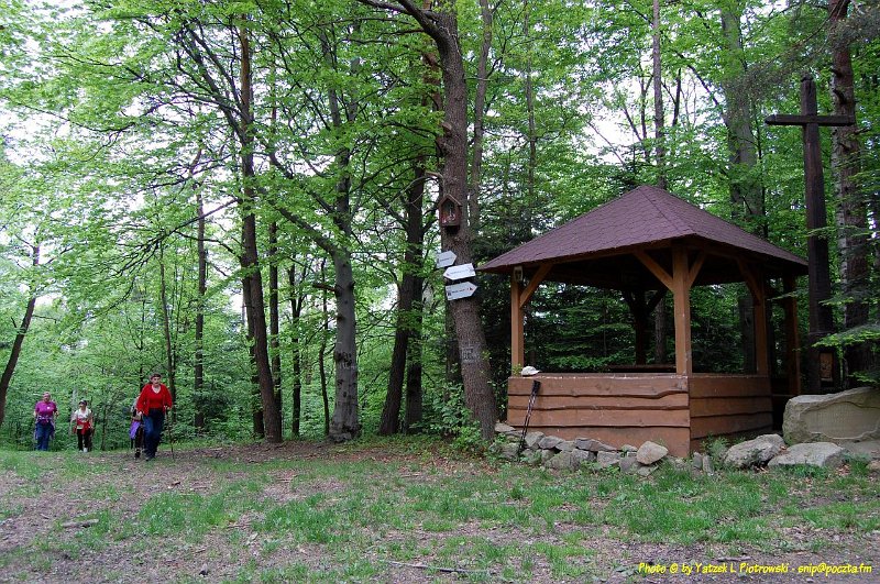 DSC_1043a1.JPG - (C) Jacek L. Piotrowski 601 07-77-09