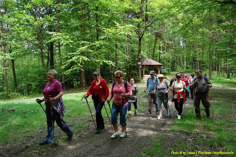 DSC_1082a1.JPG - (C) Jacek L. Piotrowski 601 07-77-09
