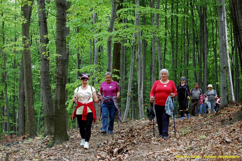 DSC_1144a1.JPG - (C) Jacek L. Piotrowski 601 07-77-09