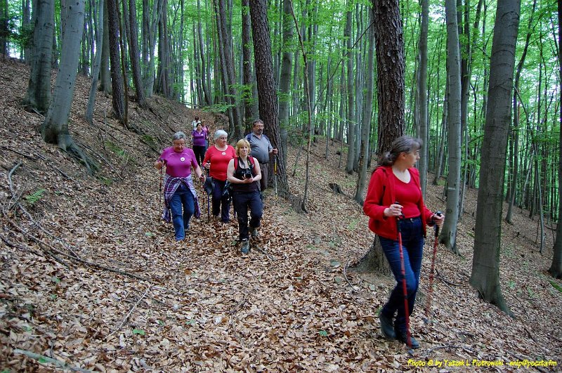 DSC_1149a1.JPG - (C) Jacek L. Piotrowski 601 07-77-09