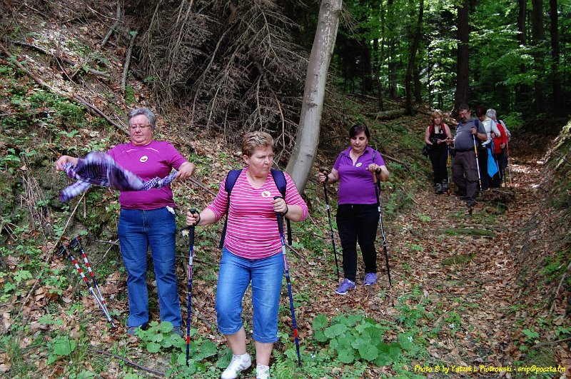 DSC_1165a1.JPG - (C) Jacek L. Piotrowski 601 07-77-09
