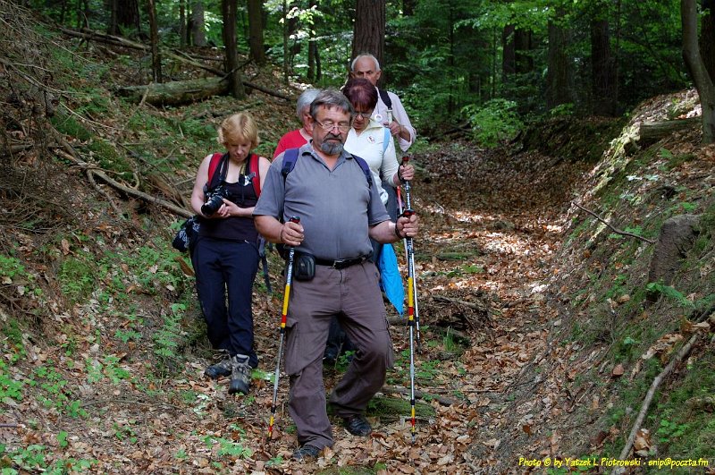 DSC_1168a1.JPG - (C) Jacek L. Piotrowski 601 07-77-09