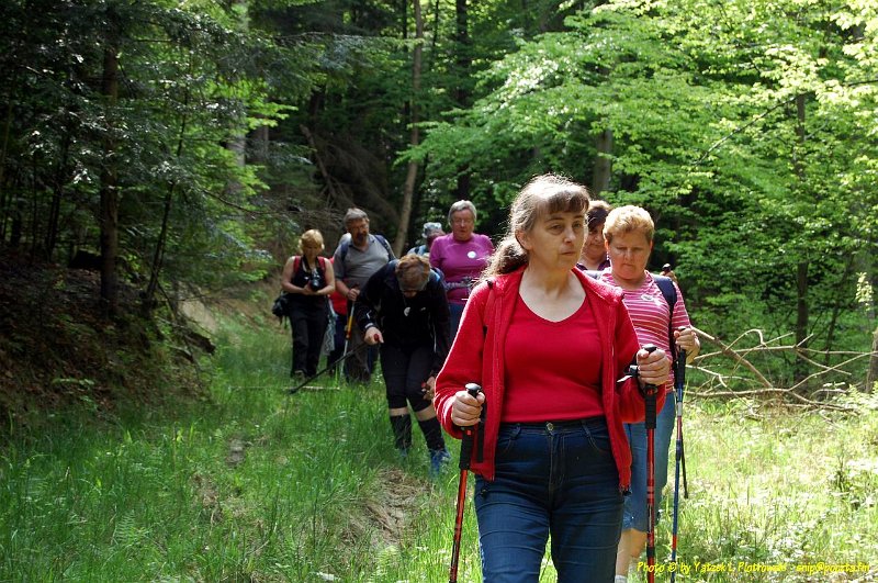 DSC_1173a1.JPG - (C) Jacek L. Piotrowski 601 07-77-09