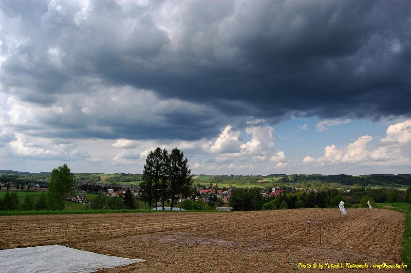 DSC_1198a1.JPG - (C) Jacek L. Piotrowski 601 07-77-09