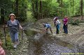DSC_1005a1