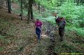 DSC_1155a1
