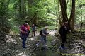 DSC_1186a1