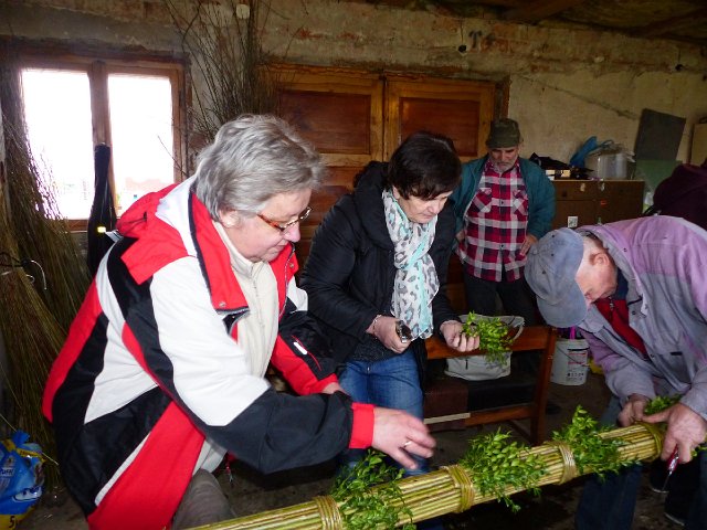 P1050544.jpg