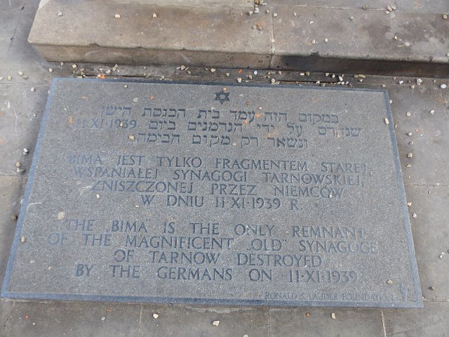 P1050314.JPG