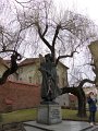P1050343