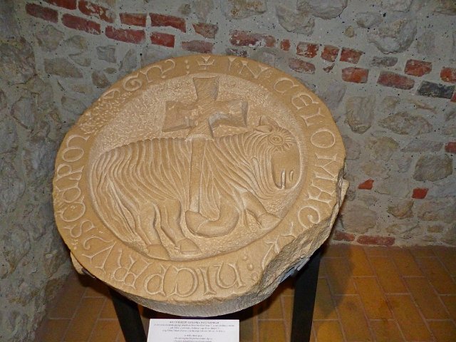 P1050926.jpg