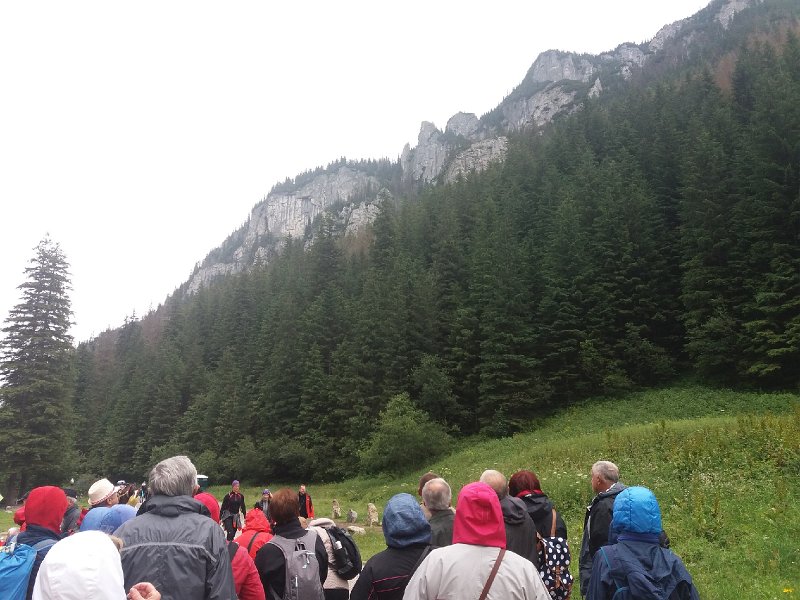 20180623_111126.jpg - ALCSIIF5Ő� h    ůQ W- �ăţ˙ď˙˙ ˇ˙˙/� 0Î˙˙�ĺ˙˙ÉS˙˙®Ć    ]T  Š[  “T  ­[  Ôi   ˙ęV_Ŕz  ŔĄ[…T˘[�T™ţ     ”                                    € G�  ™  Ţ�  ~   Öţ  /ô                                                                                  ALCE                                                                                                                                                                                                                                                                                                                                                                                                                                                                                                                                                                                                                                                                                                                                                                                                                                                                                                                                                                                                                                                                                                                                    FAFA Ă 2¨ ¶    FAFA'             ° Ă 'ł µp )¶ f_ *ą Ŕc )Ľ żű "      ¶ Ď; &¶ Ď; &¶ Ď; &      ¶ Ď; &¶ Ď; &¶ Ď; &¶ Ď; &¶ Ď; &¶ Ď; &¶ Ď; &¶ Ď; &¶ Ď; &¶ Ď; &¶ Ď; &¶ Ď; &¶ Ď; &¶ Ď; &¶ Ď; &¶ Ď; &¶ Ď; &¶ Ď; &¶ Ď; &¶ Ď; &¶ Ď; &                         �    ň       FAFA                                                                                                                                                                                                                                                                    ®®®®h  R‚  ŻŻŻŻ°   ľľľľ   żżżż|  ÎÎÎÎÉ É ĎĎĎĎ    ŢŢŢŢ( ) ŕŕŕŕ       ˙   ęęęę ) )           ëëëë  5 D żŕěěěěű   VŞ
 ž íííí                                                                                                                                                                                                                                                            ˙îÝĚ P_CRA00 CAL CRC1F